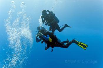 2024年济南“泉润非遗——寒假研学月”活动开启
